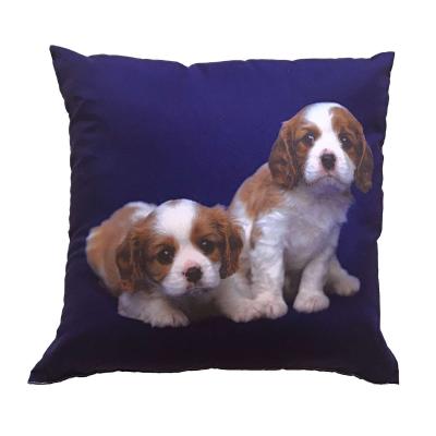 Fotopolštářek Dva béžovohnědí psi 40x40 cm