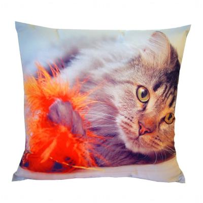 Fotopolštářek Kočka s peříčkem 40x40 cm