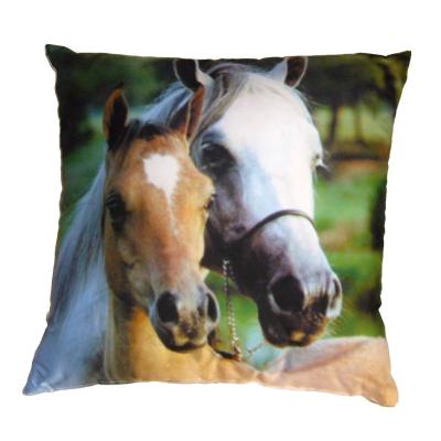 Fotopolštářek Koně 40x40 cm