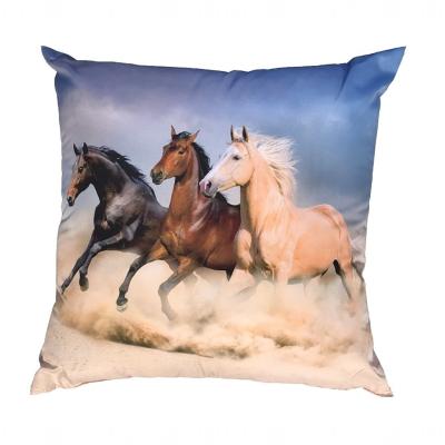 Fotopolštářek Koně na poušti 40x40 cm