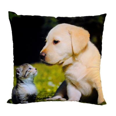 Fotopolštářek Kotě a štěně na trávě 40x40 cm