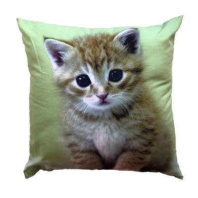 Fotopolštářek Kotě na zeleném 40x40 cm