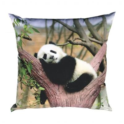 Fotopolštářek Panda 40x40 cm