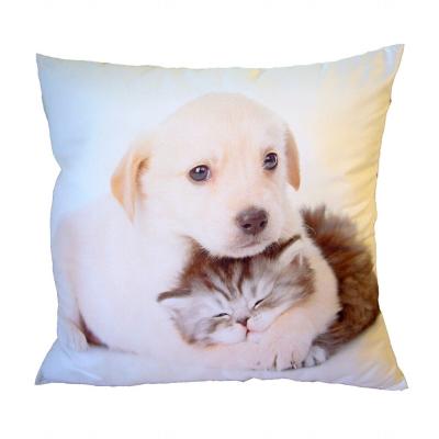 Fotopolštářek Pejsek objímající kotě 40x40 cm