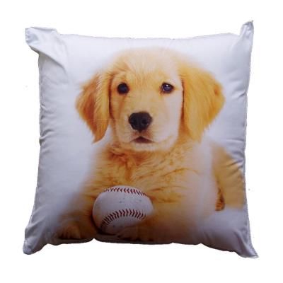 Fotopolštářek Pes s balonkem 40x40 cm