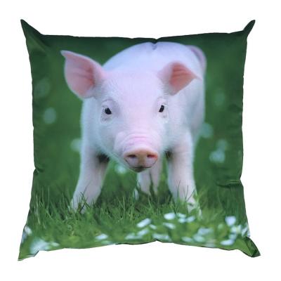Fotopolštářek Prasátko 40x40 cm