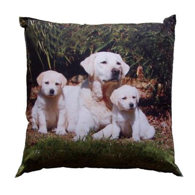 Fotopolštářek Psí rodinka 40x40 cm