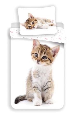 Povlečení fototisk Kitten white 140x200, 70x90 cm